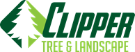 Landscaping St. Louis - Clipper Tree and Landscape